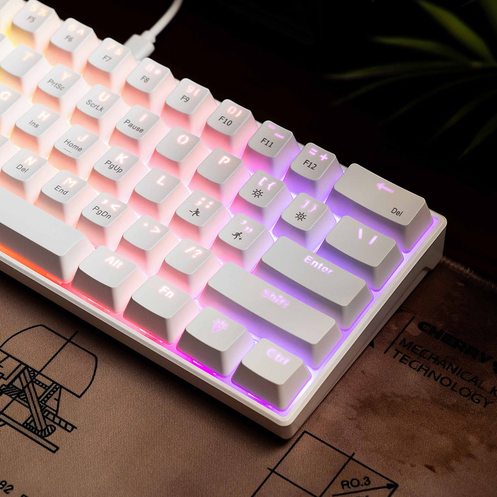 61-Key RGB Blue Switch Mechanical Gaming Keyboard PERSIAN store