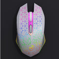 HXSJ T34 1600DPI RGB Wireless Gaming Mouse PERSIAN store